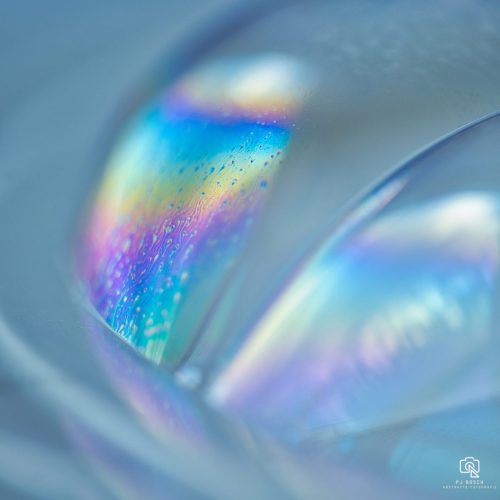 Abstract25
