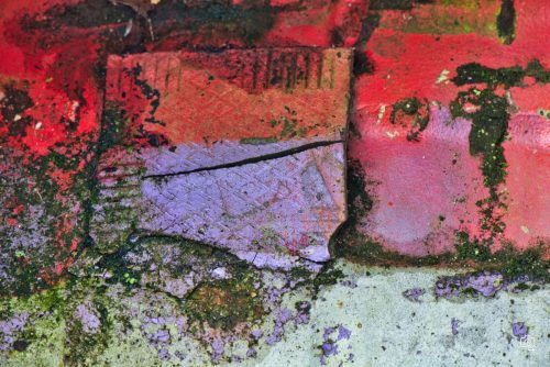 Abstract29